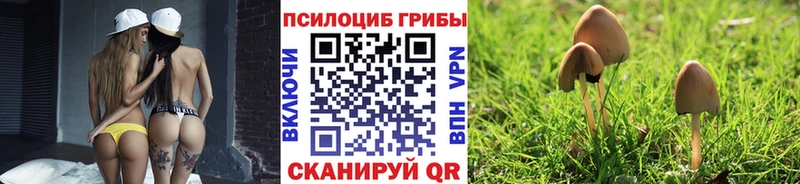 Псилоцибиновые грибы ЛСД  продажа наркотиков  Беслан 